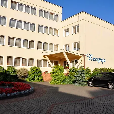 Albatros Przy Plazy Rowy (Pomerania)