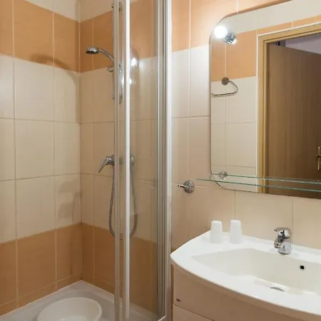 Albatros Przy Plazy Rowy (Pomerania)