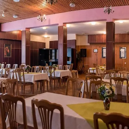 Albatros Przy Plazy Rowy (Pomerania)