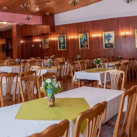 Albatros Przy Plazy Rowy (Pomerania)