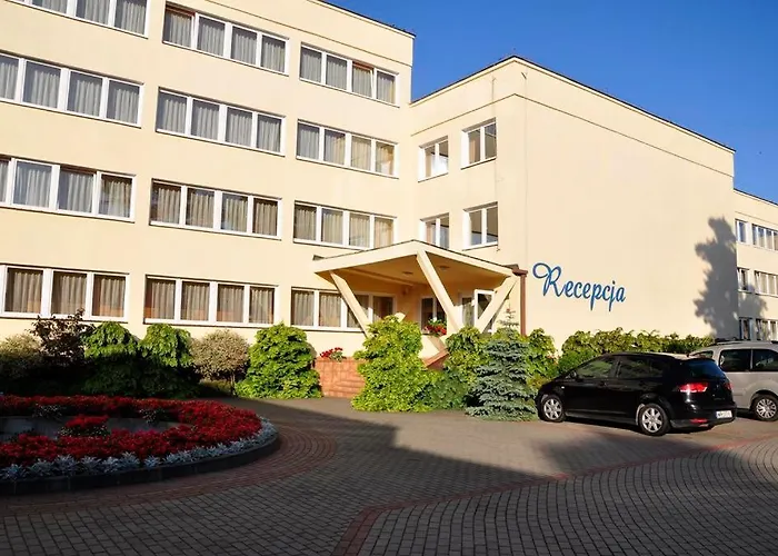 Albatros Przy Plazy Rowy (Pomerania)