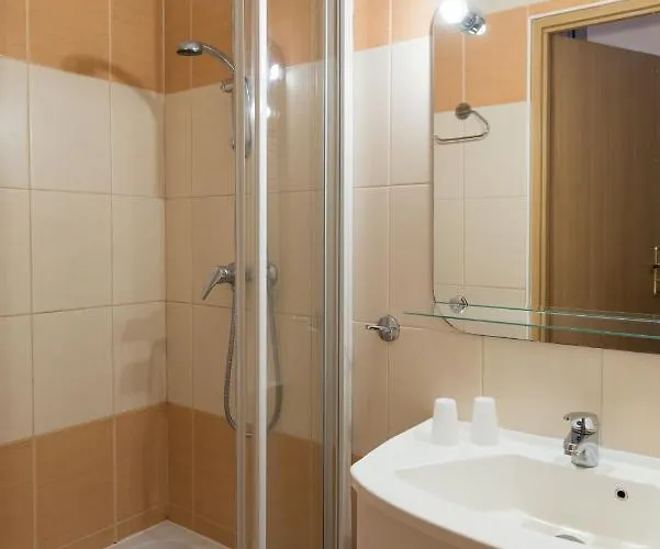 Albatros Przy Plazy Rowy (Pomerania)