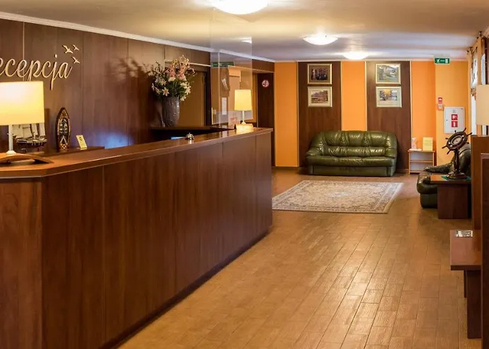 Albatros Przy Plazy Rowy (Pomerania)